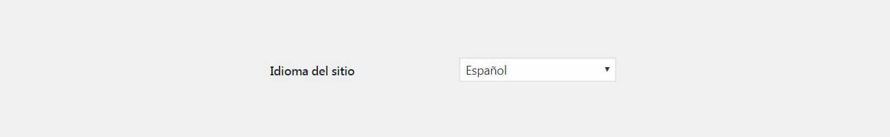 Elige el idioma base de WordPress
