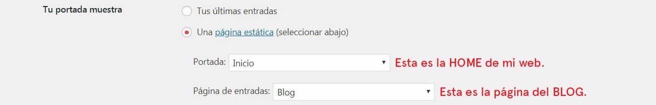 Selecciona tu portada de muestra